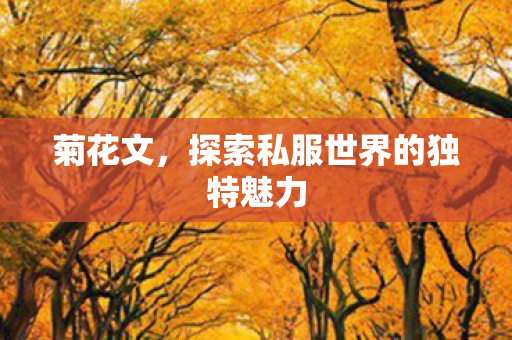 菊花文，探索私服世界的独特魅力