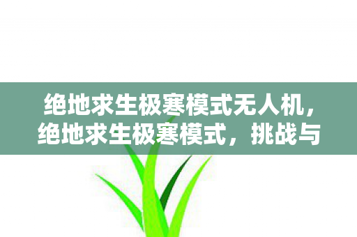 绝地求生极寒模式无人机，绝地求生极寒模式，挑战与生存的艺术