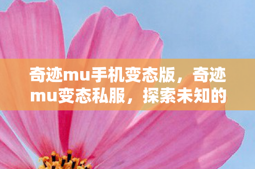 奇迹mu手机变态版，奇迹mu变态私服，探索未知的游戏世界