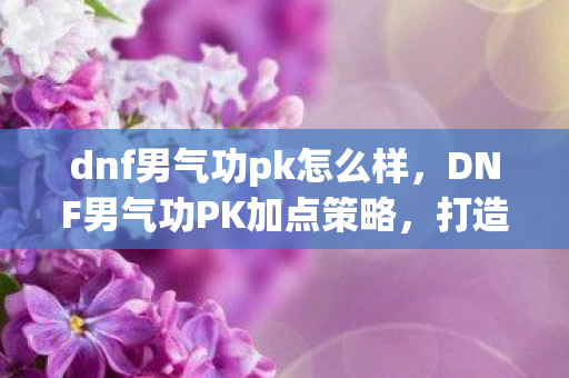dnf男气功pk怎么样，DNF男气功PK加点策略，打造无敌连招