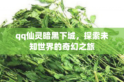 qq仙灵暗黑下城，探索未知世界的奇幻之旅
