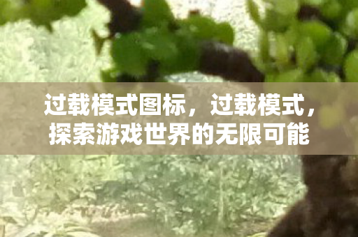 过载模式图标，过载模式，探索游戏世界的无限可能