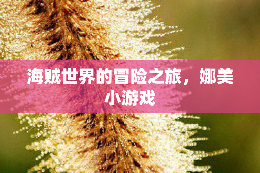 海贼世界的冒险之旅，娜美小游戏