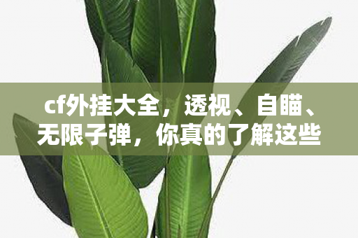 cf外挂大全，透视、自瞄、无限子弹，你真的了解这些外挂吗？