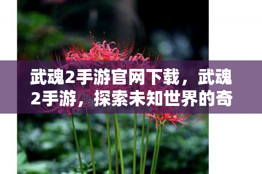 武魂2手游官网下载，武魂2手游，探索未知世界的奇幻之旅