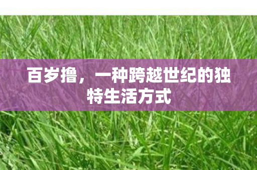 百岁撸，一种跨越世纪的独特生活方式