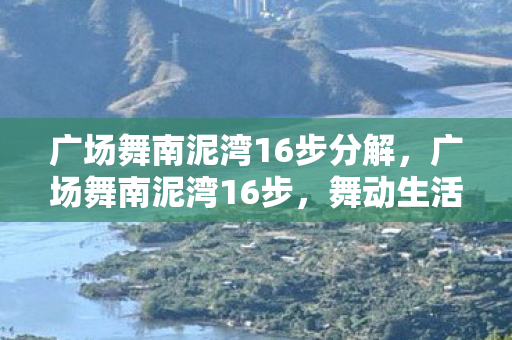 广场舞南泥湾16步分解，广场舞南泥湾16步，舞动生活的艺术
