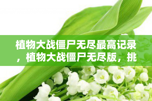 植物大战僵尸无尽最高记录，植物大战僵尸无尽版，挑战人类智慧的极限