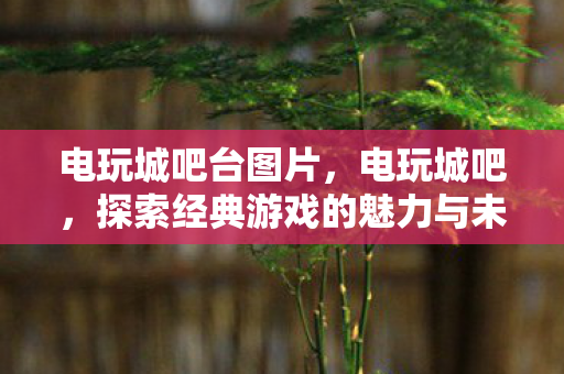 电玩城吧台图片，电玩城吧，探索经典游戏的魅力与未来