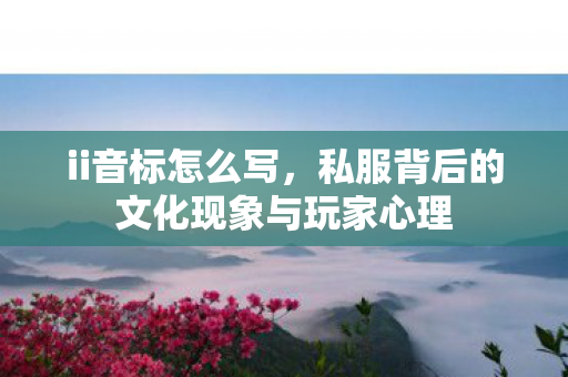 ii音标怎么写，私服背后的文化现象与玩家心理