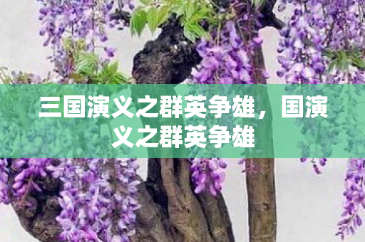 三国演义之群英争雄，国演义之群英争雄