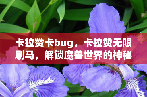 卡拉赞卡bug，卡拉赞无限刷马，解锁魔兽世界的神秘宝藏