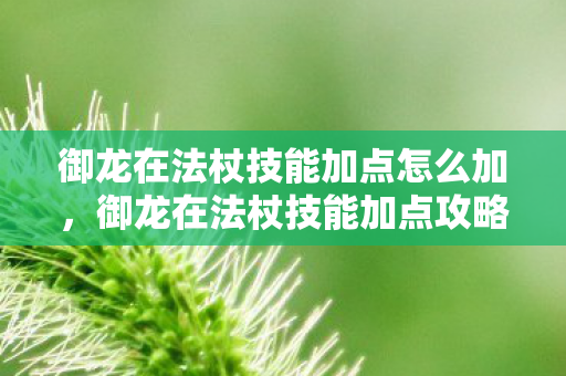 御龙在法杖技能加点怎么加，御龙在法杖技能加点攻略