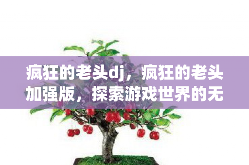 疯狂的老头dj，疯狂的老头加强版，探索游戏世界的无限可能