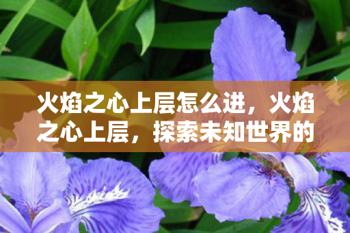 火焰之心上层怎么进，火焰之心上层，探索未知世界的奇幻之旅