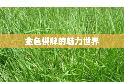 金色棋牌的魅力世界