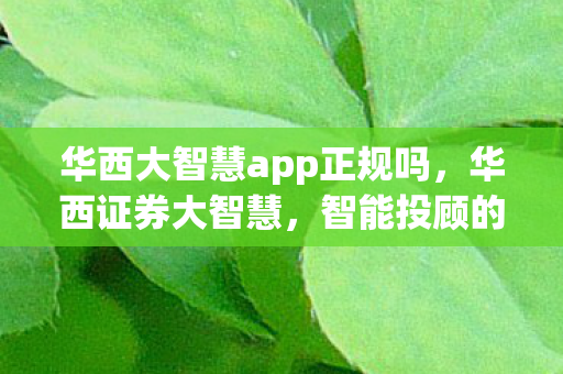 华西大智慧app正规吗，华西证券大智慧，智能投顾的先锋实践