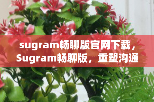 sugram畅聊版官网下载，Sugram畅聊版，重塑沟通新体验