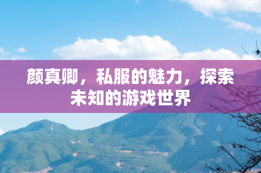 颜真卿，私服的魅力，探索未知的游戏世界