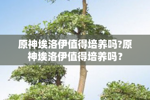 原神埃洛伊值得培养吗?原神埃洛伊值得培养吗？