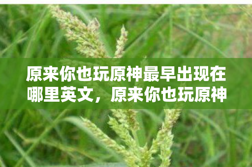 原来你也玩原神最早出现在哪里英文，原来你也玩原神，探寻游戏文化的起源与扩散