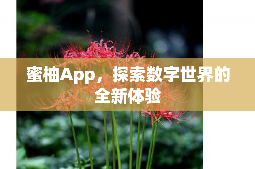 蜜柚App,探索数字世界的全新体验 蜜柚App,探索数字世界的全新体验