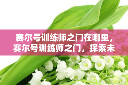 赛尔号训练师之门在哪里，赛尔号训练师之门，探索未知，挑战极限