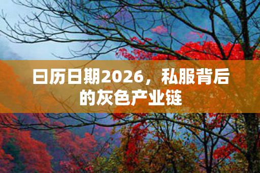 曰历日期2026，私服背后的灰色产业链