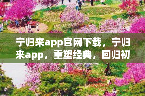 宁归来app官网下载，宁归来app，重塑经典，回归初心的游戏世界