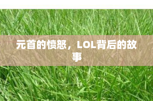 元首的愤怒，LOL背后的故事
