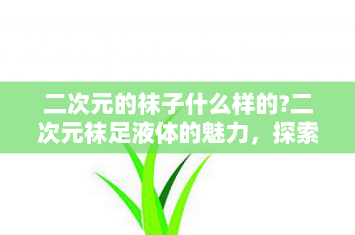 二次元的袜子什么样的?二次元袜足液体的魅力，探索虚拟与现实的交汇点