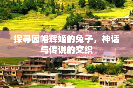 探寻因幡辉姬的兔子，神话与传说的交织