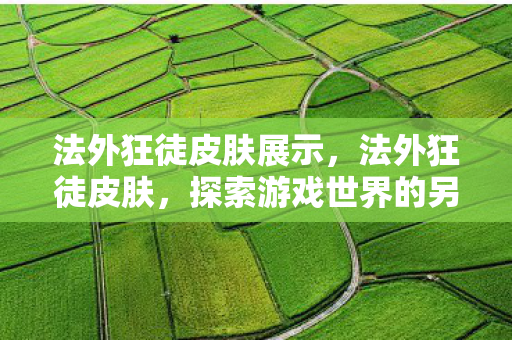 法外狂徒皮肤展示，法外狂徒皮肤，探索游戏世界的另类时尚