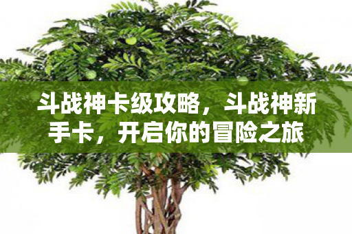 斗战神卡级攻略，斗战神新手卡，开启你的冒险之旅