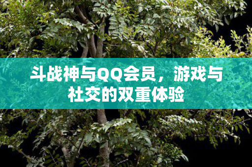 斗战神与QQ会员，游戏与社交的双重体验