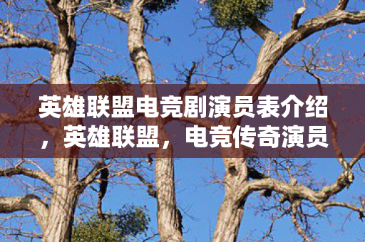 英雄联盟电竞剧演员表介绍，英雄联盟，电竞传奇演员阵容揭秘