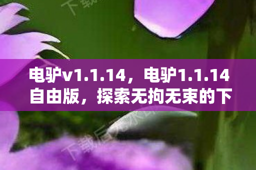 电驴v1.1.14，电驴1.1.14 自由版，探索无拘无束的下载新世界