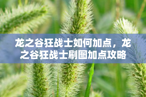 龙之谷狂战士如何加点，龙之谷狂战士刷图加点攻略