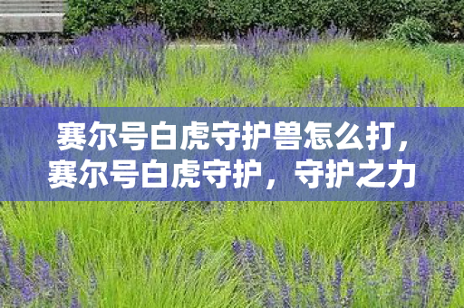 赛尔号白虎守护兽怎么打，赛尔号白虎守护，守护之力，荣耀之路