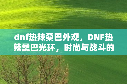 dnf热辣桑巴外观，DNF热辣桑巴光环，时尚与战斗的双重魅力