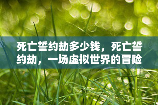 死亡誓约劫多少钱，死亡誓约劫，一场虚拟世界的冒险与探索