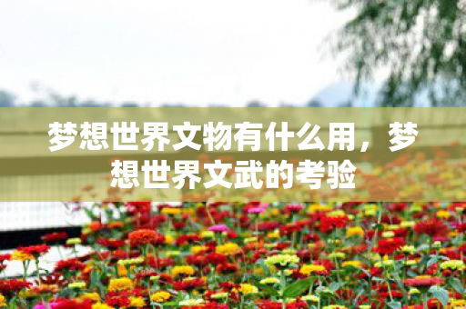梦想世界文物有什么用，梦想世界文武的考验