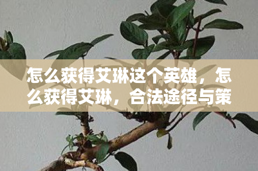 怎么获得艾琳这个英雄，怎么获得艾琳，合法途径与策略分享