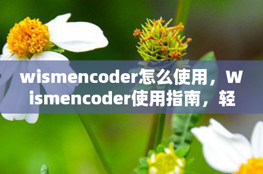 wismencoder怎么使用，Wismencoder使用指南，轻松掌握视频编码工具