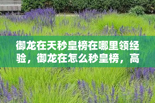 御龙在天秒皇榜在哪里领经验，御龙在怎么秒皇榜，高效攻略与技巧分享