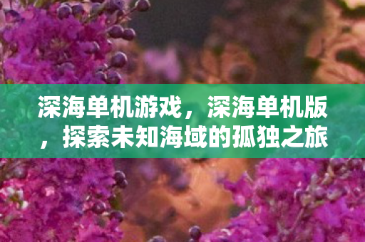 深海单机游戏，深海单机版，探索未知海域的孤独之旅
