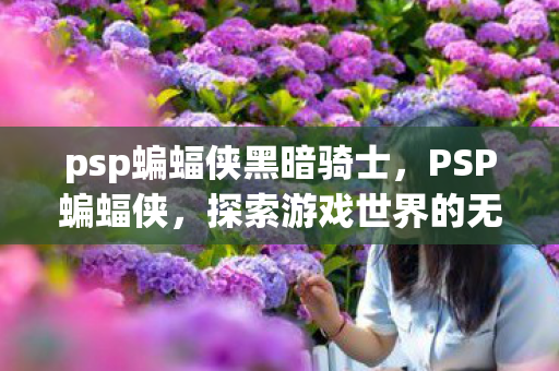 psp蝙蝠侠黑暗骑士，PSP蝙蝠侠，探索游戏世界的无限可能