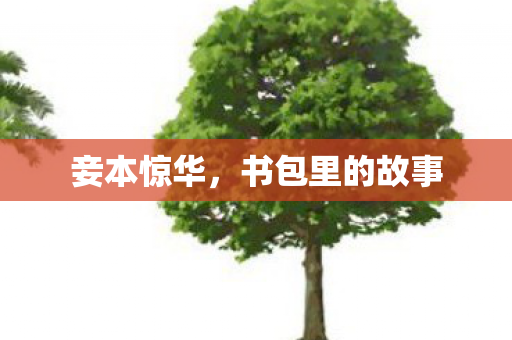 妾本惊华，书包里的故事