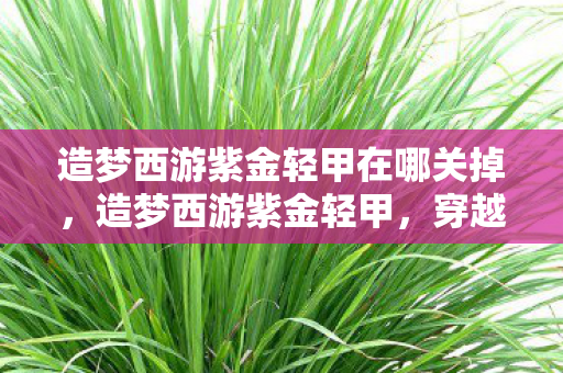 造梦西游紫金轻甲在哪关掉，造梦西游紫金轻甲，穿越神话的战甲传奇