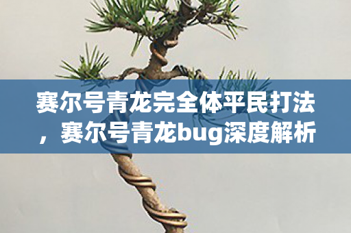 赛尔号青龙完全体平民打法，赛尔号青龙bug深度解析，游戏平衡的挑战与应对